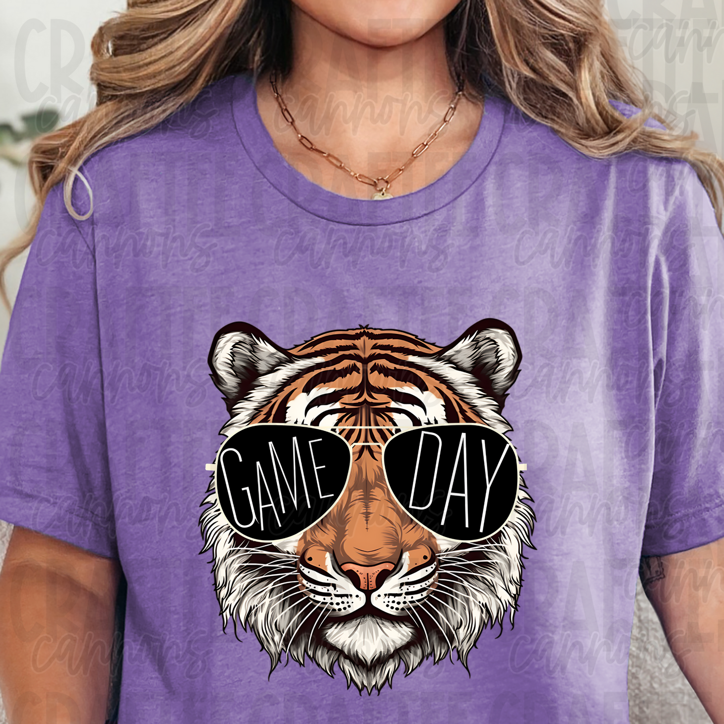 Tigers Game Day