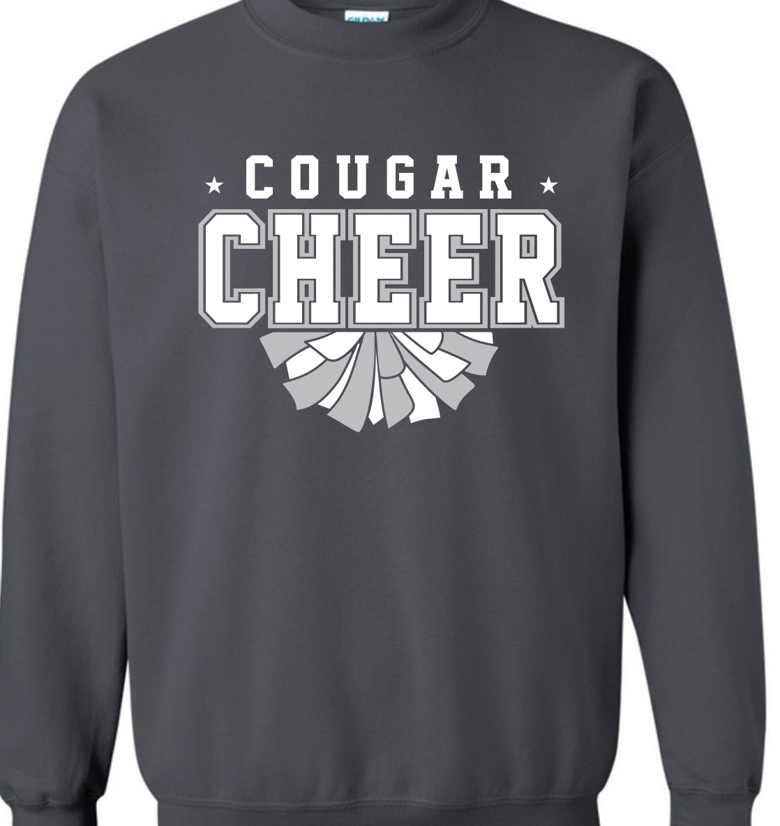 Cheer RCHS